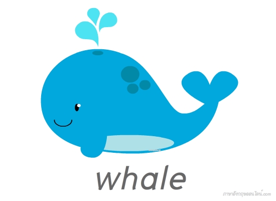 วาฬ