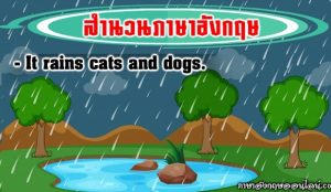 it rains cats and dogs