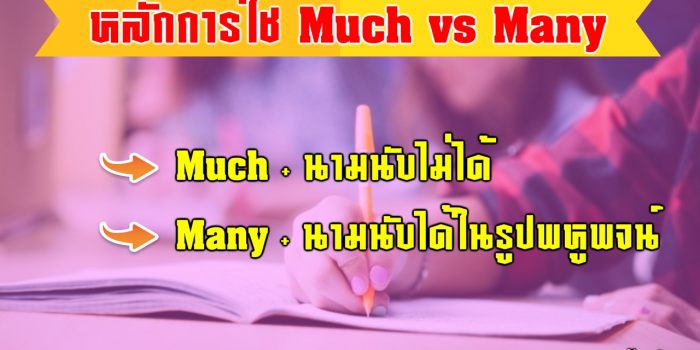 การใช้ Much Many