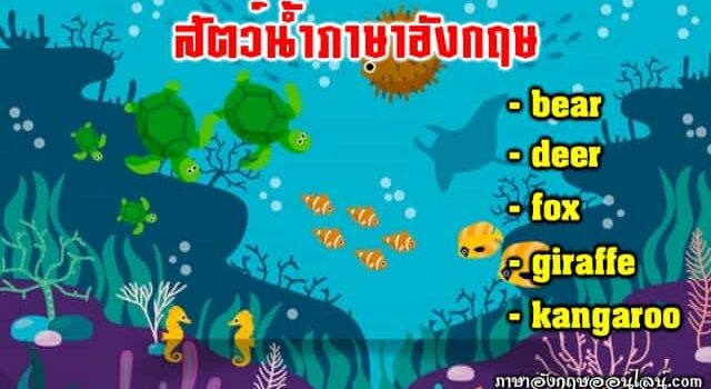 สัตว์น้ำภาษาอังกฤษ