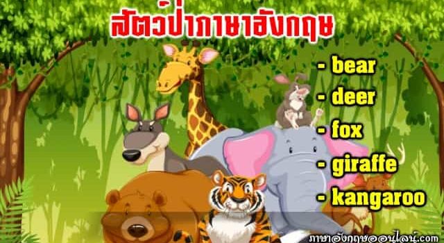 สัตว์ป่า ภาษาอังกฤษ