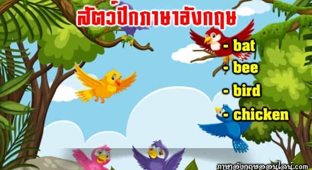 สัตว์ปีก ภาษาอังกฤษ