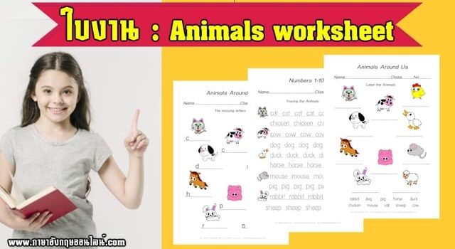 ใบงานสัตว์ต่างๆ