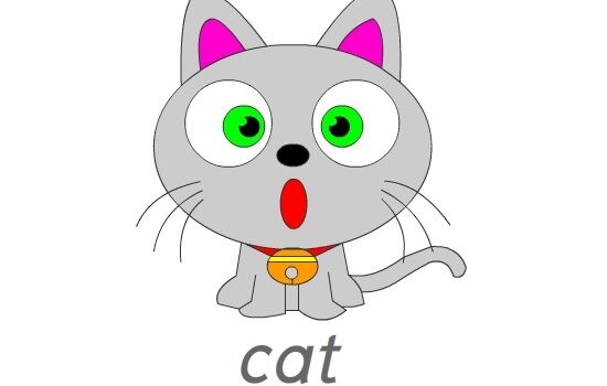 แมว