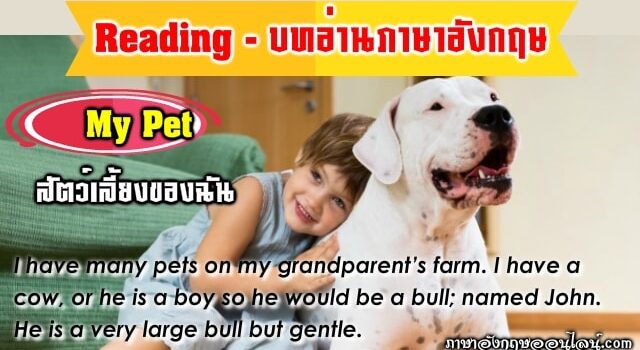 บทอ่าน My Pet
