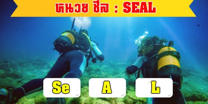 SEAL คืออะไร