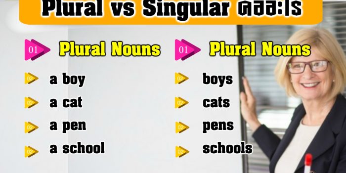 Plural Nouns คือ
